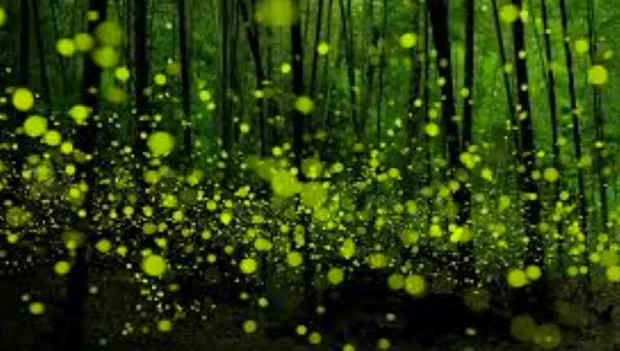 pjrhvbeiaw6yfhol7bf0l8wh6 1 399