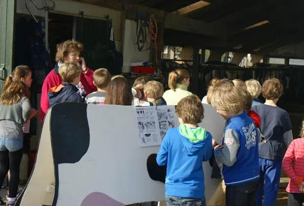 pkzryzjvidrgn63dqm92jvzq2 2013 06 2515 06 59