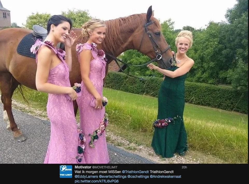 pmd8xwft7n6dx680hjuy83z6j 1 359