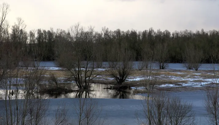 polder bemmel winter