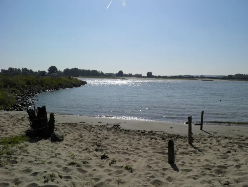 q0etiv0k2j5dpf0cn6wbglrp2 wandel 1