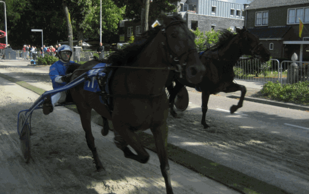 q4lymck9h5ey8904rdqd1pehj 1 243