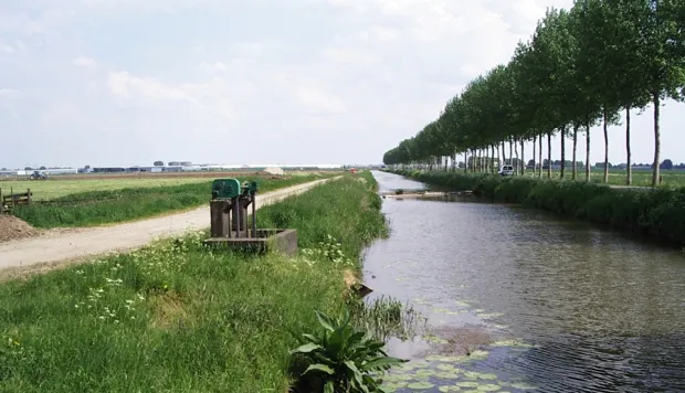 q53teu9zxr9klac5zd3qau16l ivn linge