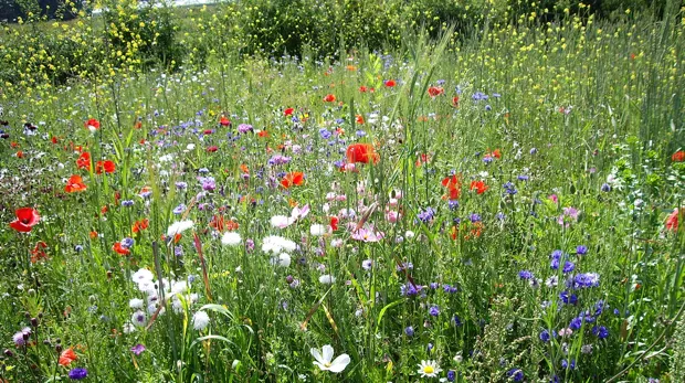 q90avujmtje4lrfzxfmcu4jmk 1 316