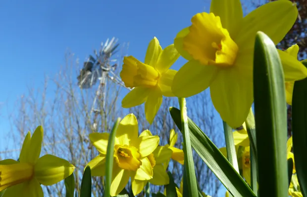 qaq3vzxlyaaizrcihcxmd3tsl 2014 03 2711 15 10