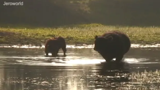 qymikhxgmhwecqvdsmr4soymx 1 784