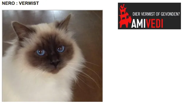 r8r8zwh3c6wza2kfh6la6rt7u 1 182