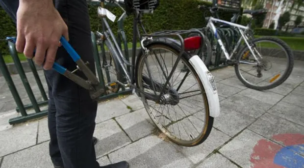 razthsgqz3dzr2p1mziwc148i 11 28