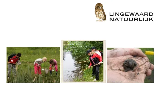 rbvqagtanhe7bvs6yifzhzbhb 1 13