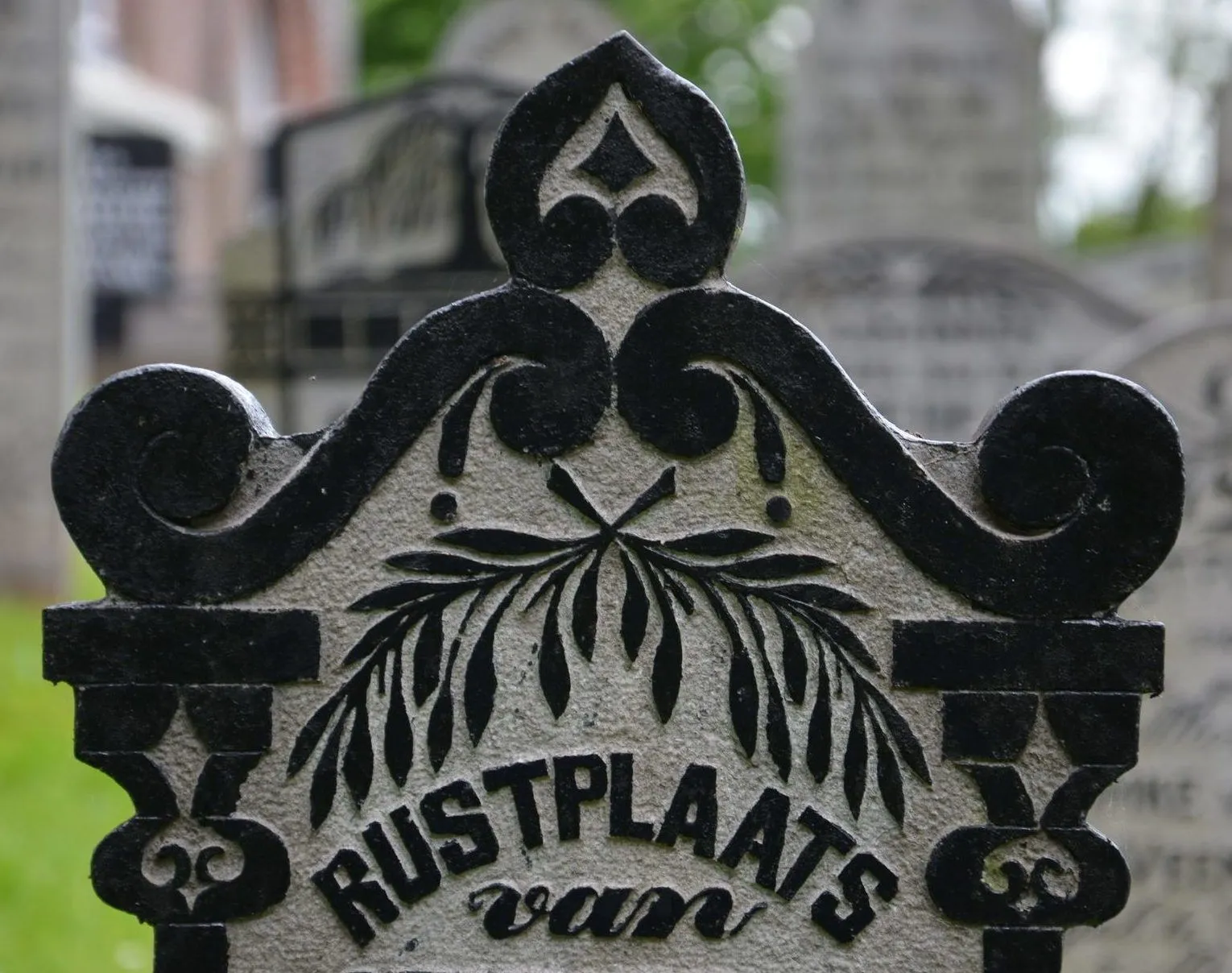 rozetdoodgewoon 1 e1567606545396