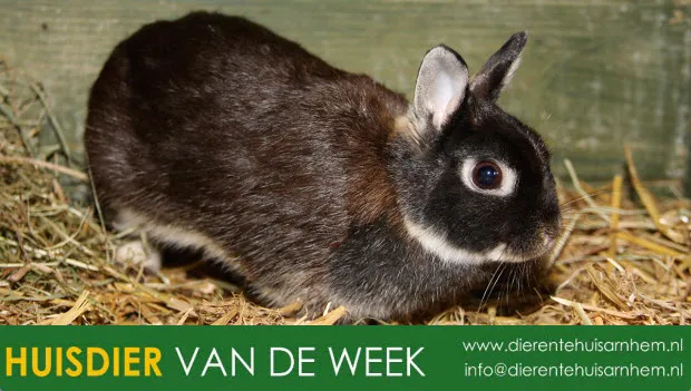 s81hvt2pril2i6b6wae8rk350 1 467