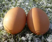 sjdj3ingowdcfkazxl02cbchn 219547