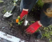 sm2atjfvysmewr1poi3v7b22s 229076