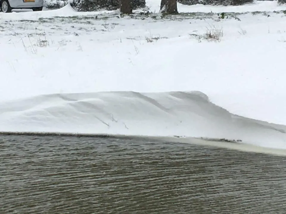 sneeuwduin tussen hofmeesterij en loovelden sandra priem