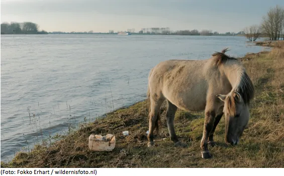 sp68a4sa8vnk9ot19e1tcmfq7 2014 03 2110 27 57