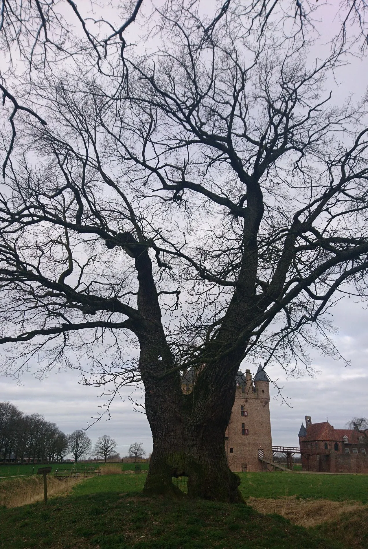 stichting lingewaard natuurlijklezing2