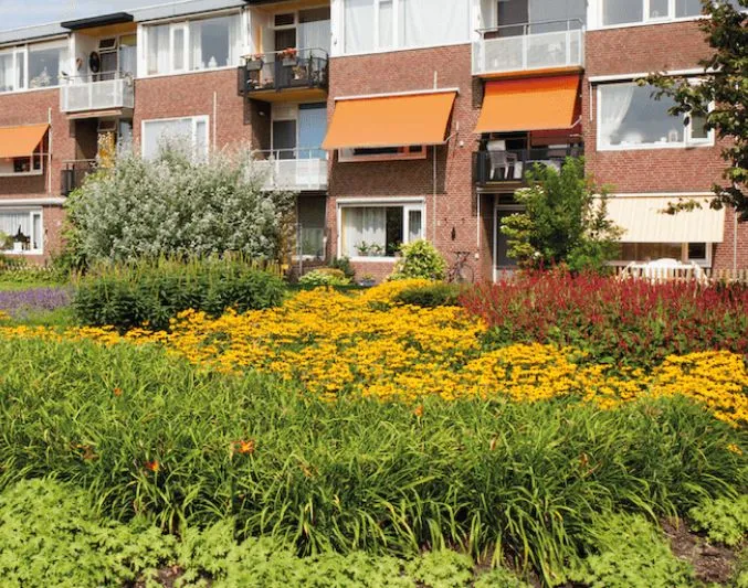 stichting steenbreek