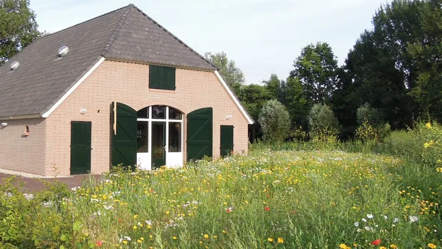 t037wrhxz12x9r229c2kwfrm4 1 892