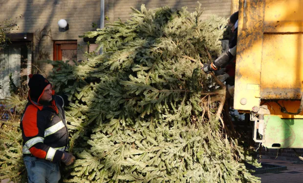 t17e9mnakw93kyyf5lzfcp49n 2013 12 2412 29 45