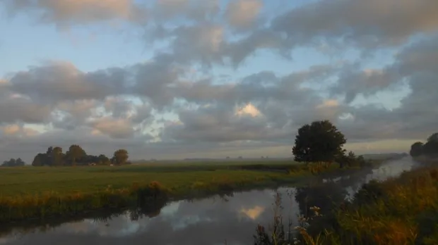 taawdd31pgpd1p82j7l5kdgs8 1 18