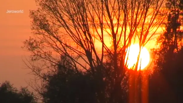 tcbe5r7f8wci9uy539gyyt0ta 1 766