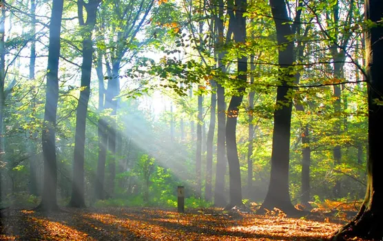 trewstuxhyov5br58j3oh84oi 1 174