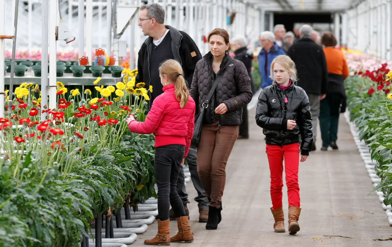 ufk0rhd1huxltjqrkm1oskhwg 2 103