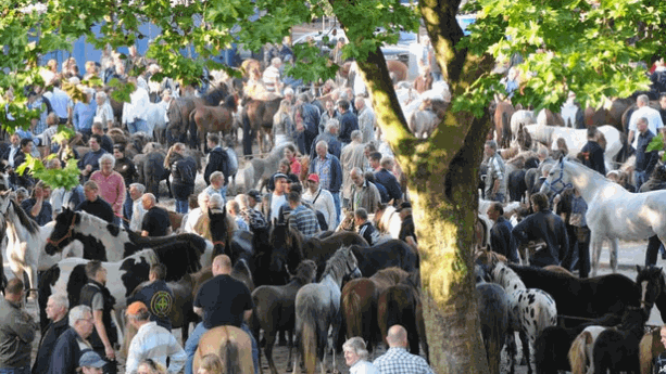 uhospyz1l4ksupz29yvh9lj8s 1 251