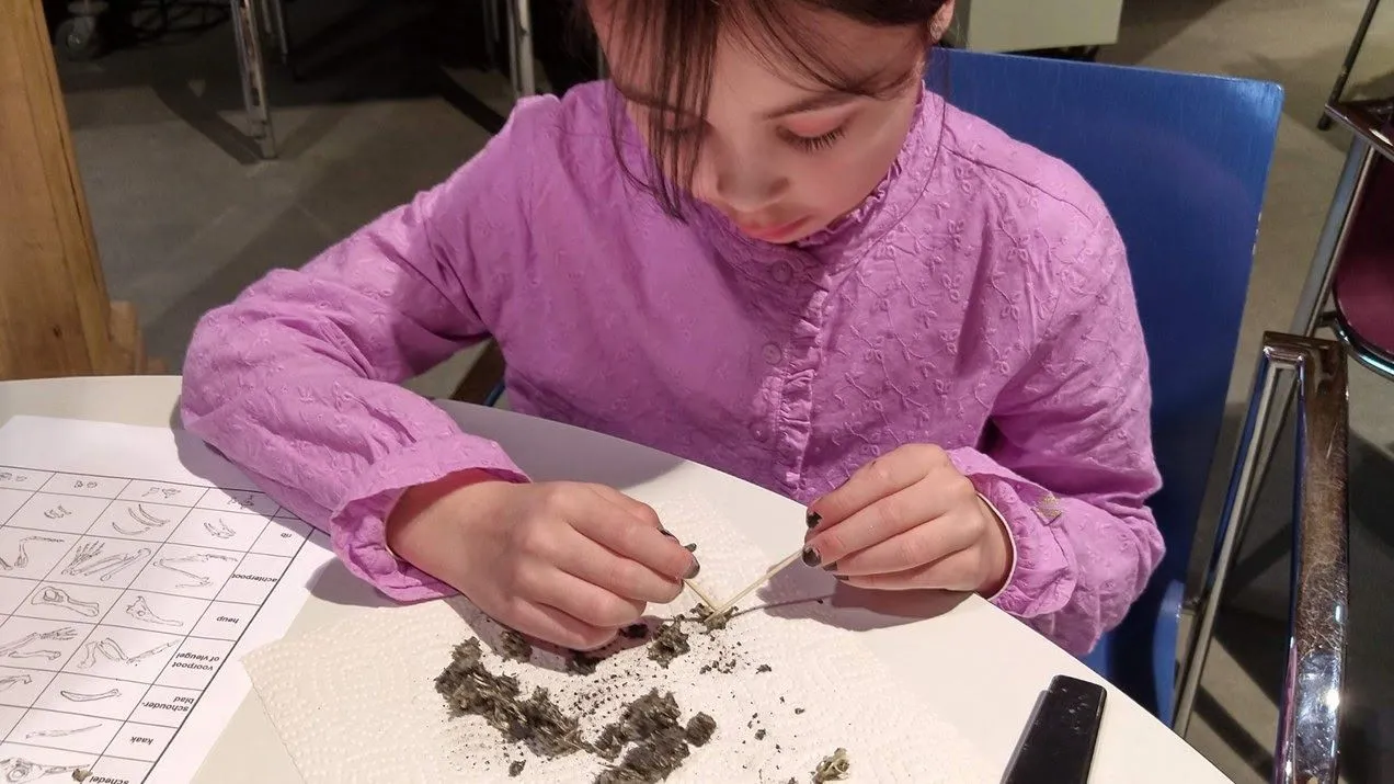 uilenbollenuitpluizen 32