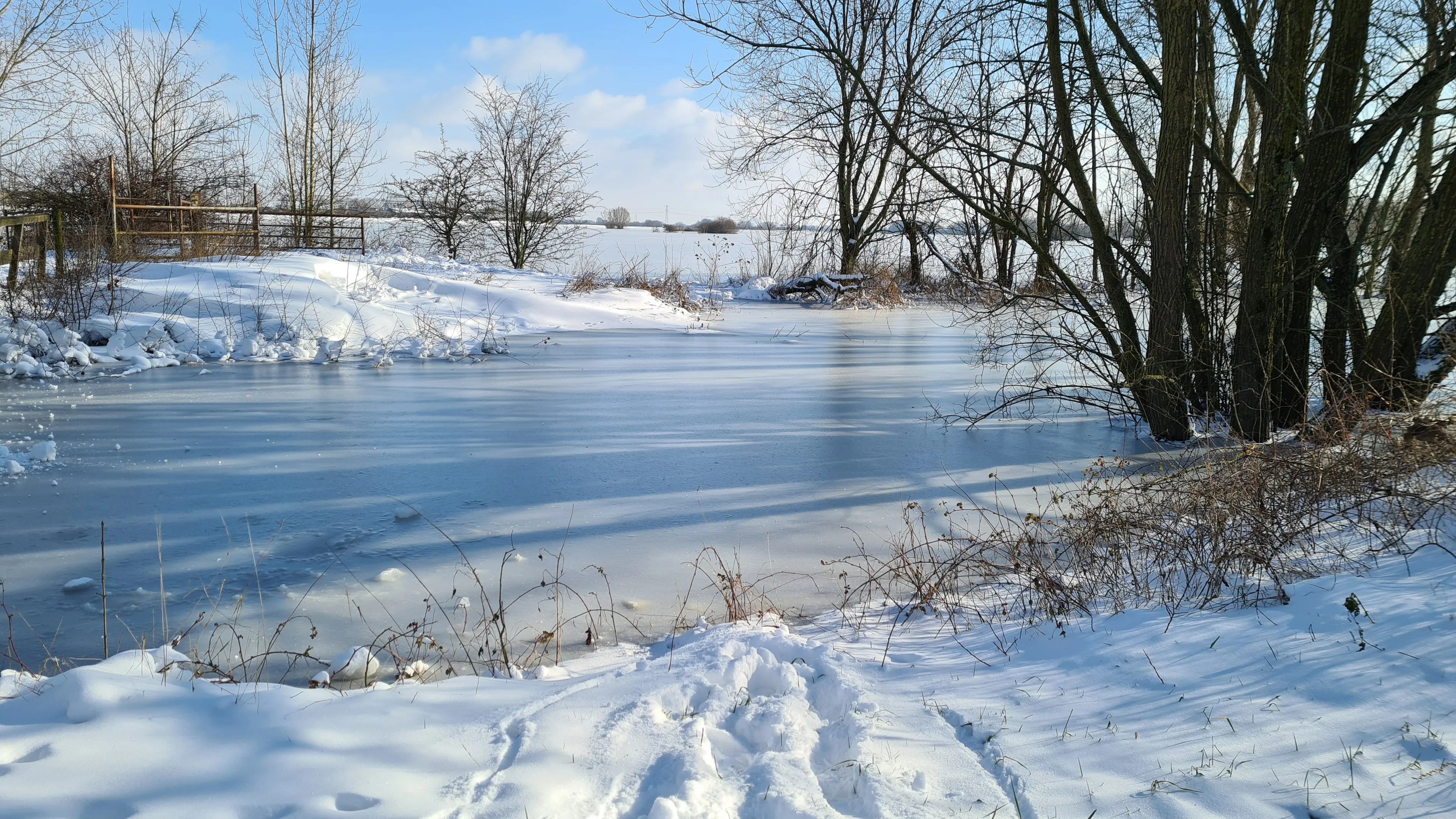 uiterwaardenbij zwanenwater huissen marjoke du bois
