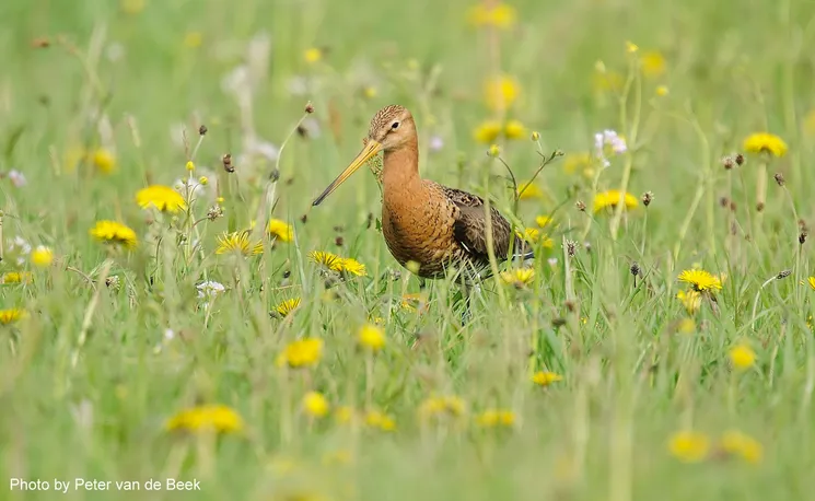 uj7khf4kzo3r7ftsxulih2cnf 1 594