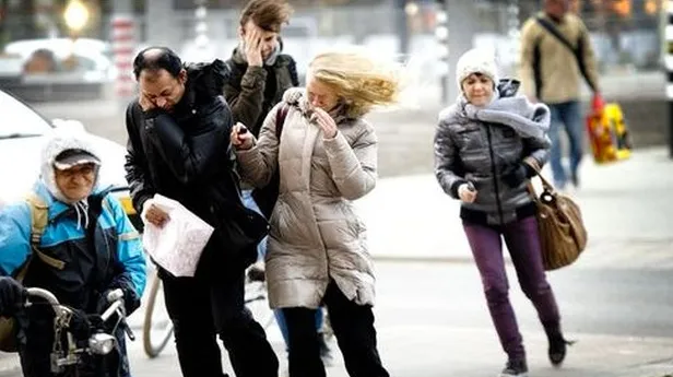 v321zgghmy8fgj609ezlgzq0g 1 732