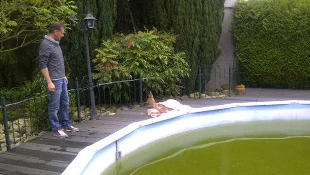 v5rbso4ttjv0hne9zcmnlh2ec 11 46