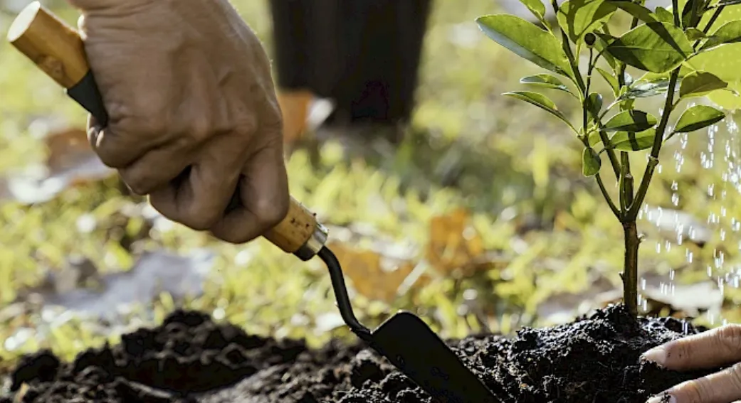 valkenbosvan der valk duurzaamheid e1711022847901