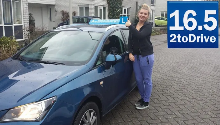 van amersvoort auto slagen 1