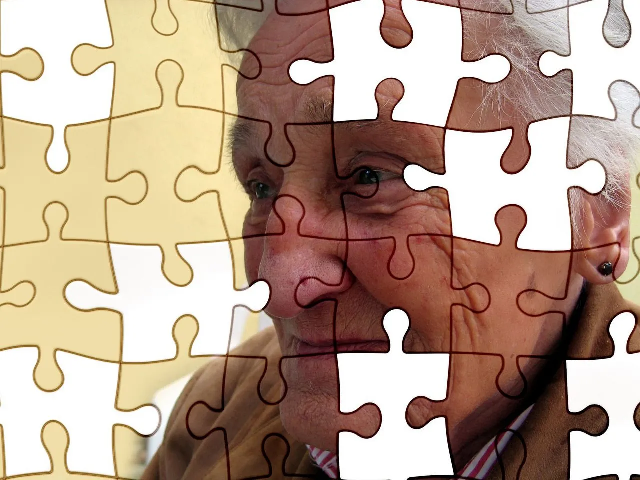 veranderend gedrag bij dementie kan een hele puzzel zijn voor de mantelzorgergerd altmann via pixabay