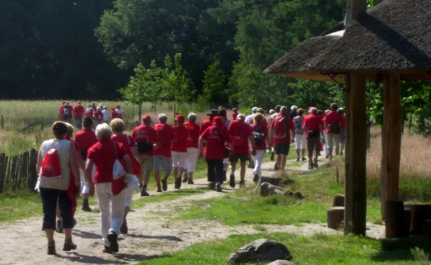 vg6a19rm7zqvom4yzrpbbaecf 2013 07 1111 28 42