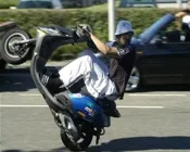 vh1q47erst6cj9mrzt2pnkbmg 184284