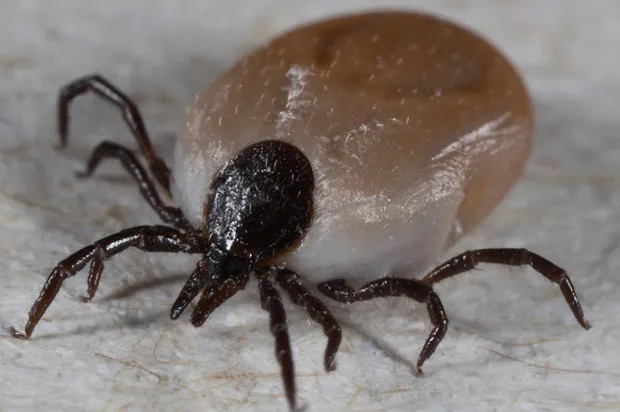 vhq0jx5ysmphfrf0c9udza32u 2013 07 0911 35 45