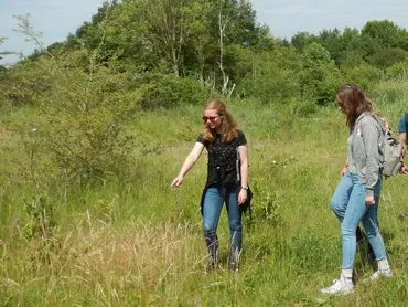 vlinderstellenvlinderstichting28c7fce6 79da 4d98 a666 c97f40355e75