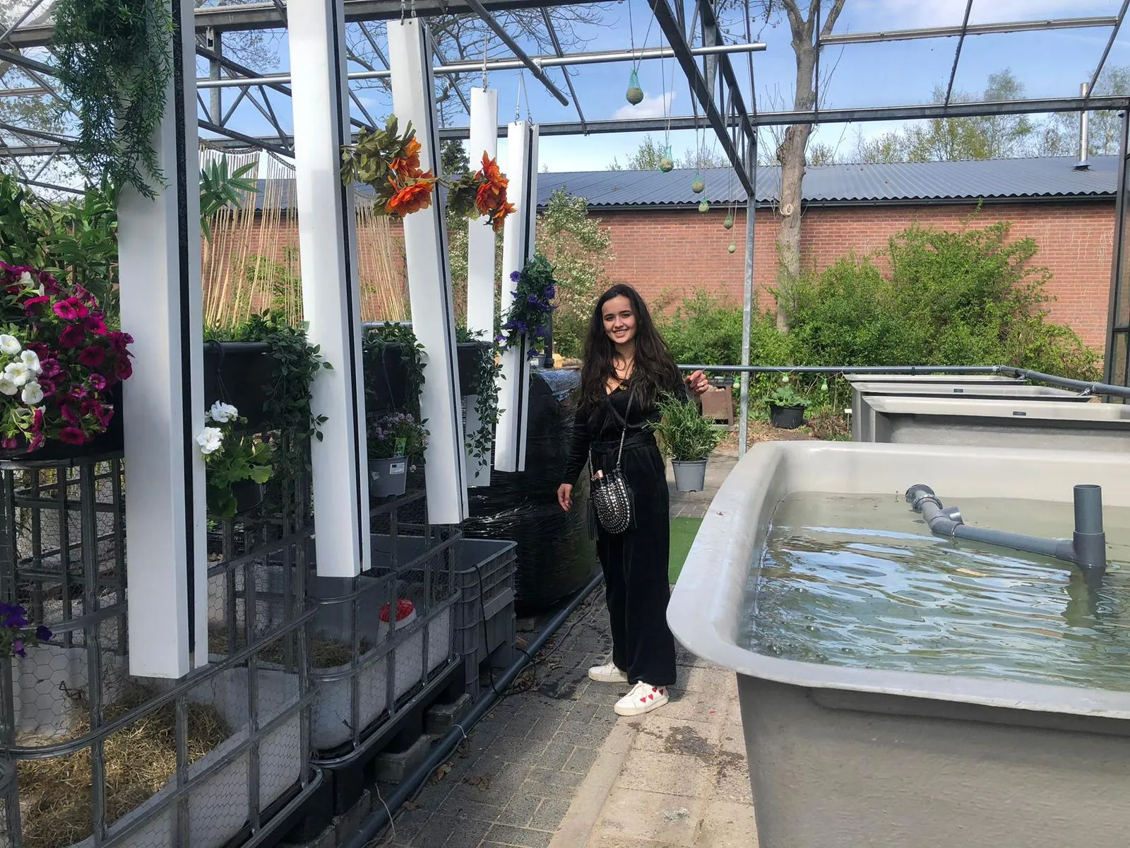 voedselsysteem britte van die