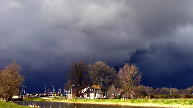 vv8y4c431r552bd0on6qskz33 1 285