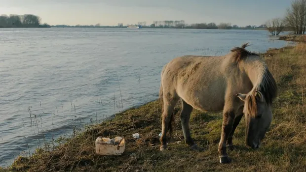 w3m3fi7geh7yocstia4zu6vtm 1 27