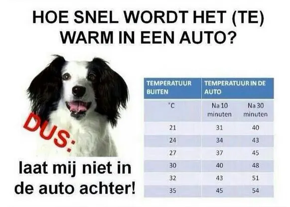 warm in auto