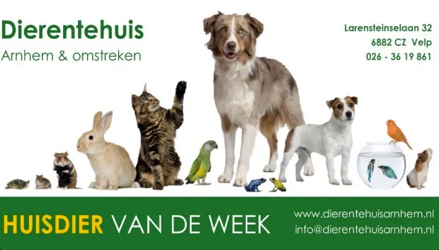 wg30prlb1873vydrbpmayanqk 620 huisdier week