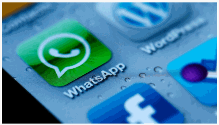 whatsapp 14
