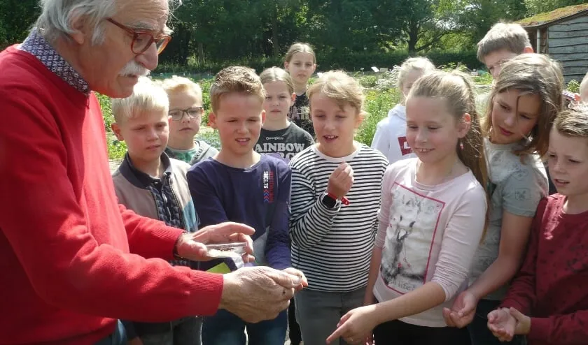 wildebij gem nws d6b18ba7 f71d 4356 b8d2 a9c73165eaac thumb840