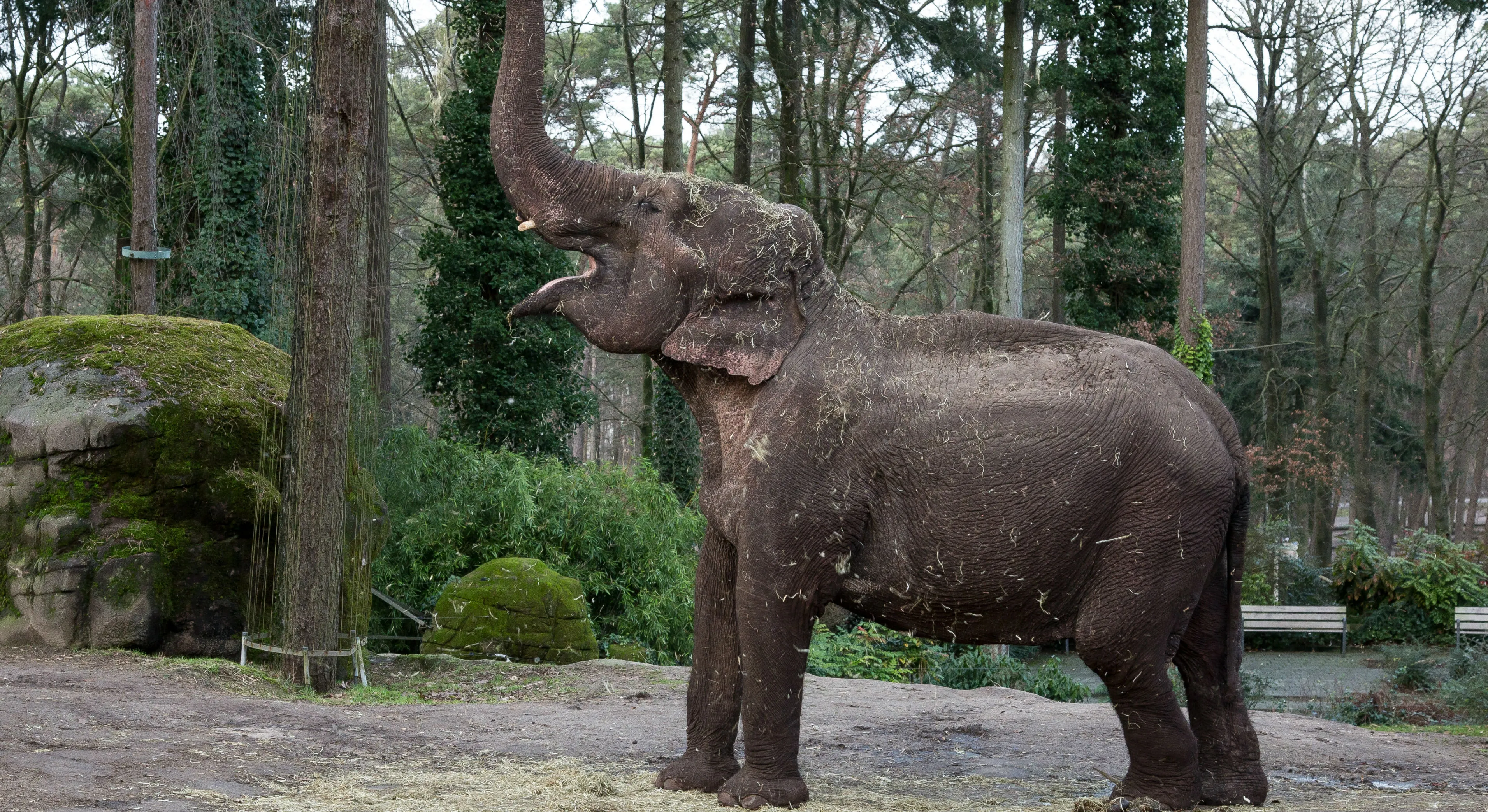 wwwburgerszoodeli9a0314 915eb3294fb9b47596107822e4435ed93405b8fb