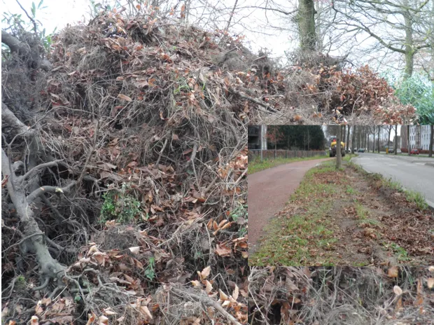 xye61fsymgvuj67zb3tyucw8l 2014 02 2109 03 11