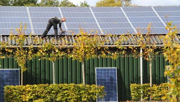 y9ax4gr8wzdxg29zejgnwuo8z asbest